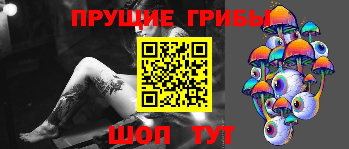 Псилоцибиновые грибы MAGIC MUSHROOMS  Вход с VPN  купить закладку  Магнитогорск 